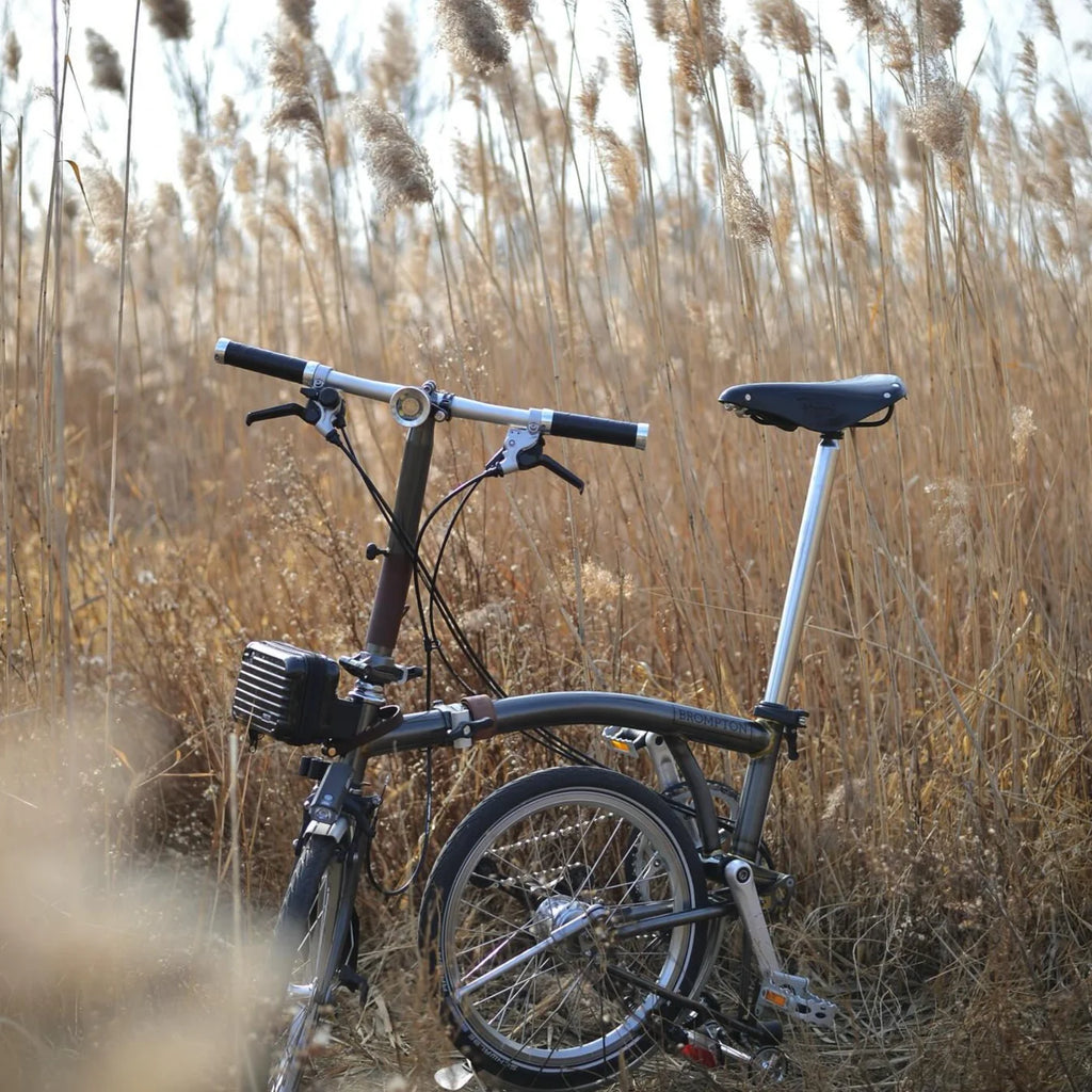 Town Mouse Center Light